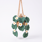 Crochet Car Plant Monstera with Daisy Essential Oil Diffuser Bottle - main image